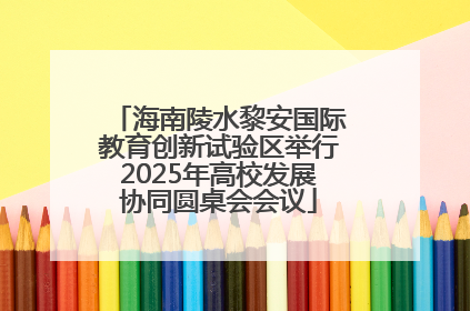 海南陵水黎安国际教育创新试验区举行2025年高校发展协同圆桌会会议