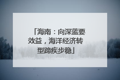海南：向深蓝要效益，海洋经济转型蹄疾步稳