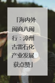 海内外闽商八闽行：漳州古雷石化产业发展获点赞