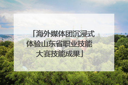 海外媒体团沉浸式体验山东省职业技能大赛技能成果