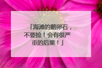 海滩的鹅卵石，不要捡！会有很严重的后果！