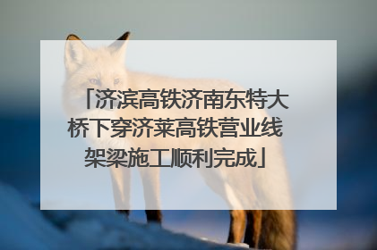 济滨高铁济南东特大桥下穿济莱高铁营业线架梁施工顺利完成