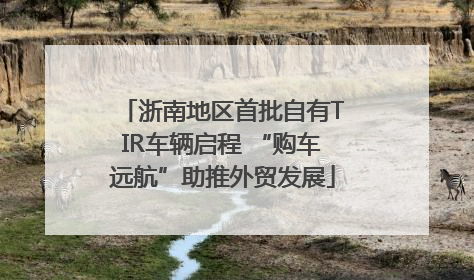 浙南地区首批自有TIR车辆启程 “购车远航”助推外贸发展