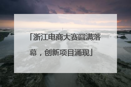 浙江电商大赛圆满落幕，创新项目涌现