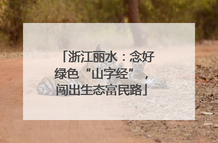 浙江丽水：念好绿色“山字经”，闯出生态富民路
