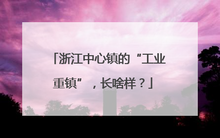 浙江中心镇的“工业重镇”，长啥样？