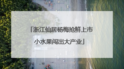 浙江仙居杨梅抢鲜上市 小水果闯出大产业