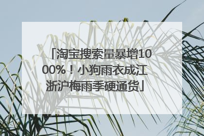 淘宝搜索量暴增1000%！小狗雨衣成江浙沪梅雨季硬通货