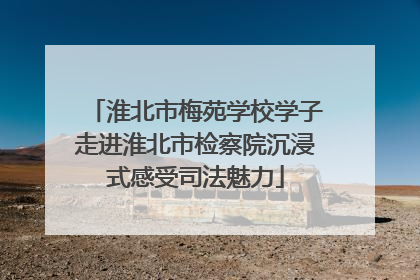 淮北市梅苑学校学子走进淮北市检察院沉浸式感受司法魅力