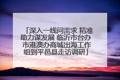 深入一线问需求 精准助力谋发展 临沂市台办 市港澳办商城出海工作组到平邑县走访调研