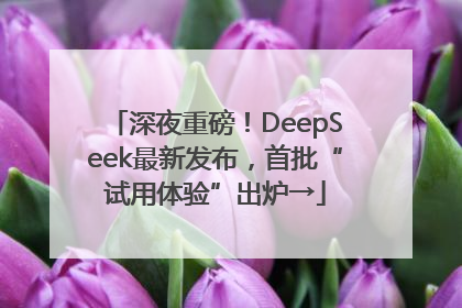 深夜重磅！DeepSeek最新发布，首批“试用体验”出炉→