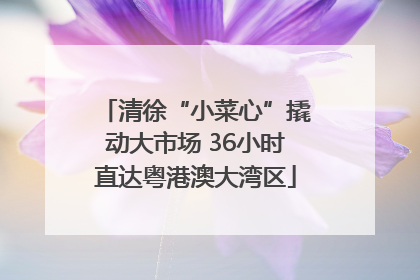 清徐“小菜心”撬动大市场 36小时直达粤港澳大湾区