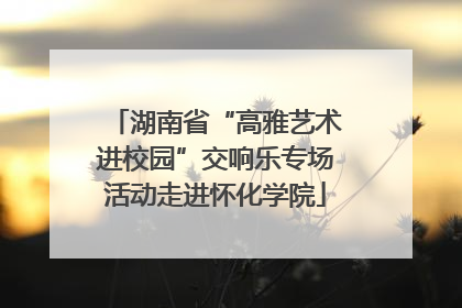 湖南省“高雅艺术进校园”交响乐专场活动走进怀化学院