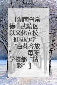 湖南省常德市武陵区以文化立校 推动办学“百花齐放”——每所学校都“精彩”