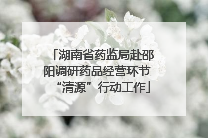 湖南省药监局赴邵阳调研药品经营环节“清源”行动工作