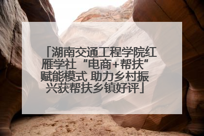 湖南交通工程学院红雁学社“电商+帮扶”赋能模式 助力乡村振兴获帮扶乡镇好评