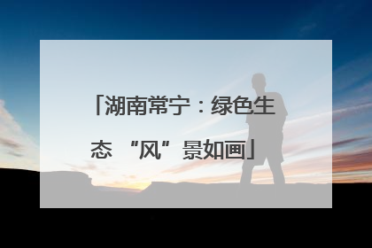 湖南常宁：绿色生态 “风”景如画