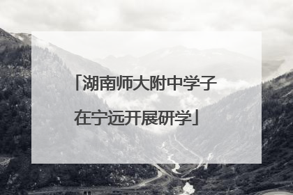 湖南师大附中学子在宁远开展研学