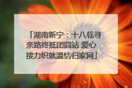 湖南新宁：十八载寻亲路终抵团圆站 爱心接力织就温情归家网