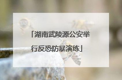 湖南武陵源公安举行反恐防暴演练