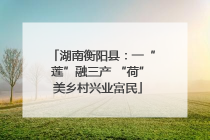 湖南衡阳县：一“莲”融三产 “荷”美乡村兴业富民