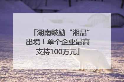 湖南鼓励“湘品”出境！单个企业最高支持100万元