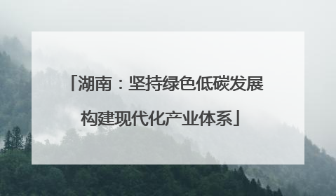 湖南：坚持绿色低碳发展 构建现代化产业体系