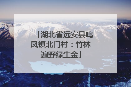湖北省远安县鸣凤镇北门村：竹林遍野绿生金