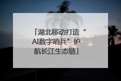 湖北移动打造“AI数字哨兵”护航长江生态链