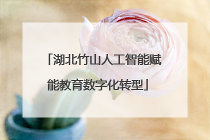 湖北竹山人工智能赋能教育数字化转型