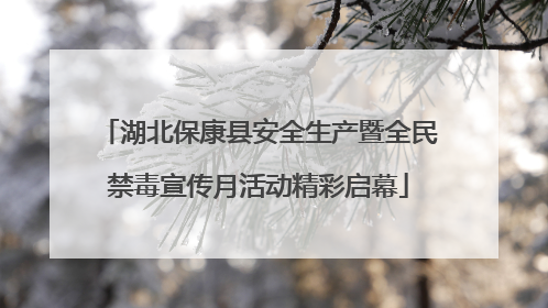 湖北保康县安全生产暨全民禁毒宣传月活动精彩启幕