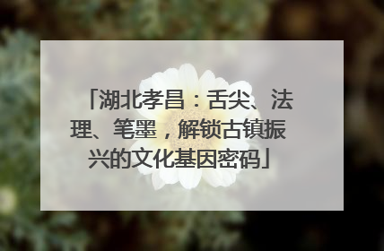 湖北孝昌：舌尖、法理、笔墨，解锁古镇振兴的文化基因密码