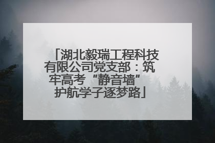 湖北毅瑞工程科技有限公司党支部：筑牢高考“静音墙” 护航学子逐梦路
