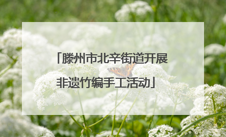 滕州市北辛街道开展非遗竹编手工活动
