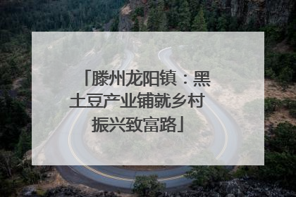 滕州龙阳镇：黑土豆产业铺就乡村振兴致富路