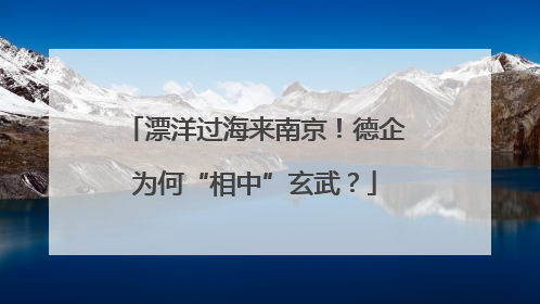 漂洋过海来南京！德企为何“相中”玄武？