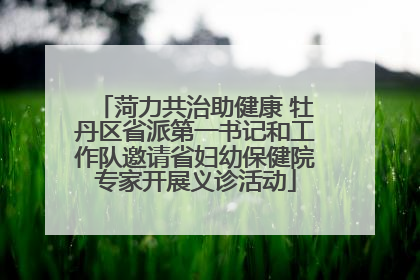 菏力共治助健康 牡丹区省派第一书记和工作队邀请省妇幼保健院专家开展义诊活动