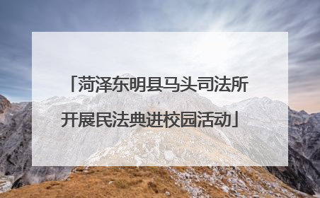菏泽东明县马头司法所开展民法典进校园活动