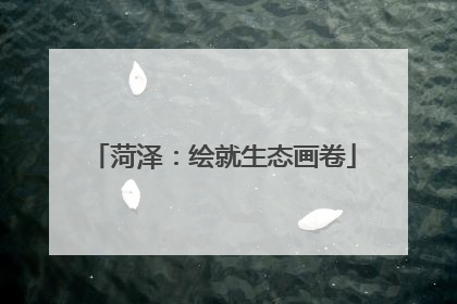 菏泽：绘就生态画卷
