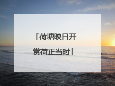 荷塘映日开 赏荷正当时