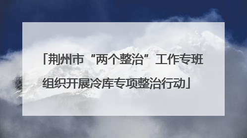 荆州市“两个整治”工作专班组织开展冷库专项整治行动