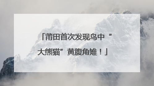 莆田首次发现鸟中“大熊猫”黄腹角雉！