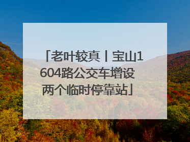 老叶较真丨宝山1604路公交车增设两个临时停靠站