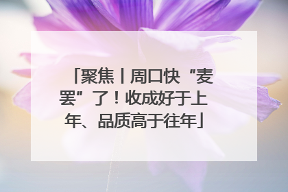 聚焦丨周口快“麦罢”了！收成好于上年、品质高于往年