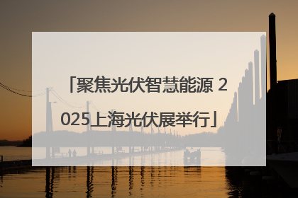 聚焦光伏智慧能源 2025上海光伏展举行