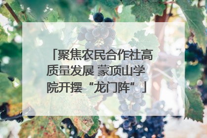 聚焦农民合作社高质量发展 蒙顶山学院开摆“龙门阵”