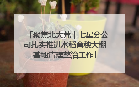 聚焦北大荒｜七星分公司扎实推进水稻育秧大棚基地清理整治工作