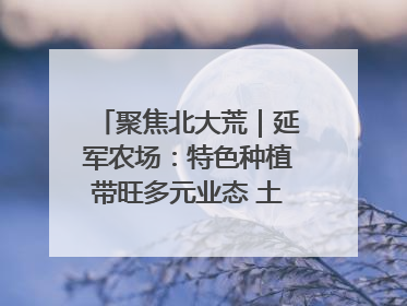聚焦北大荒｜延军农场：特色种植带旺多元业态 土地焕发新活力