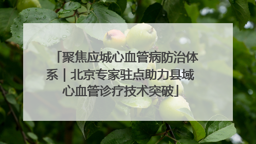 聚焦应城心血管病防治体系｜北京专家驻点助力县域心血管诊疗技术突破