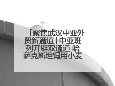 聚焦武汉中亚外贸新通道│中亚班列开辟双通道 哈萨克斯坦饲用小麦将抵鄂